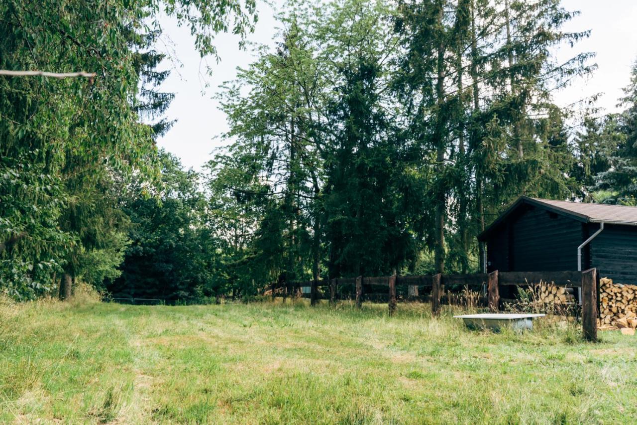 Wunderschönes Chalet mit Gästehaus in der Natur + Pferdeweide Sangerhausen Exterior foto