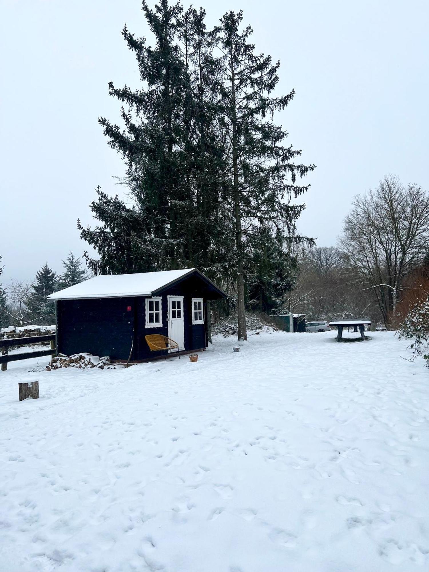 Wunderschönes Chalet mit Gästehaus in der Natur + Pferdeweide Sangerhausen Exterior foto